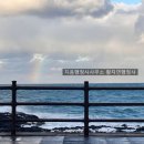 무지개 행정사 사무소 이미지