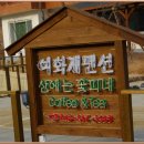 행복유황사우나 이미지