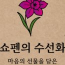 수선화꽃집