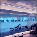 바디짐헬스 이미지