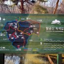 팔공산녹색길 숲길 1코스 이미지