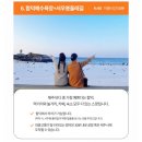 씨유제주동부관광점 | [혼자여행] 트립이즈마인 / 내돈내산 / 1인 후기 / 제주 동부투어 / 뚜벅이 / 솔직 후기