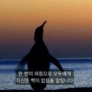 아이존팝 이미지