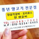 풍년양고기