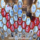 연충 | 서울박물관) 강서구 <기생충박물관> 주차 전시 후기