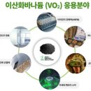 신용보증기금 - 동구 | 신용보증기금