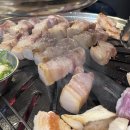 돝고깃집 | 안양 수촌마을 맛집 | 돝고깃집 정관장 아레나 직관 후 내돈내산 방문 후기 돝삼겹살 + 돝항정살 된장술밥