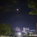 나무사이로