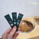 우아영 | 강아지 눈물·눈 건강 케어 고민 끝! 우아영 눈애 영양제 솔직 사용후기