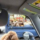 아프로PC방 이미지