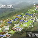 행정사사무소 봄 이미지