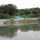 울릉도 이사부 호텔 이미지