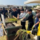 신평마을 이미지