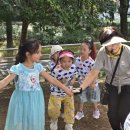 와룡아랫공원 이미지