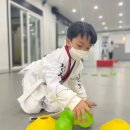 국가대표 코리아태권도장 이미지