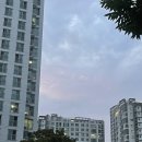줌인센터 | 2026.07.16