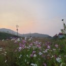 라르고 힐 이미지