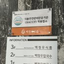 [수원/인계동] 가족 외식 추천, 웨이팅 맛집 ‘백청우칼국수’ 내돈내산 방문 후기