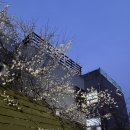 중앙동134 | 중앙동 즉석떡볶이 맛집 발견! 리틀 팁시 모닥볶이 후기