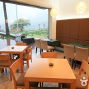 트로피칼드림 이미지