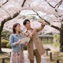 개화약국 | 일본 벚꽃투어 완벽 가이드: 예측 불허 개화 속 성공 비법