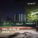 TT 이미지