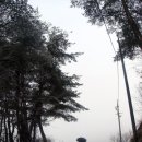 창영목장 티스토리