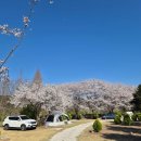 그린마트 | 경남 산청 경호강 그린캠프 벚꽃 캠핑 후기, 편의점, 마트정보