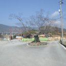 동막농장 이미지