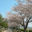 행안초등학교 이미지