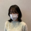 왕십리레이어드컷 곱슬머리 정리 잘된 태슬컷 후기 부크헤어