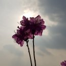 히어로(HERO) 이미지