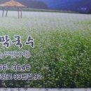 쇠목막국수