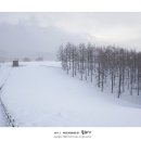 당골목장 이미지