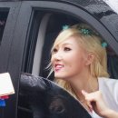 리니 Daum카페
