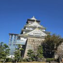 성은빌딩 | 오사카 자유여행 주유패스 1일권 오사카성 고자부네 뱃놀이 후기