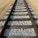 대관령 사파리 목장 | [강릉 여행 2일차(3)] 대관령 나폴리 피자 / 실버벨 교회 / 오토갤러리&amp;미니사파리