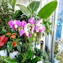 한아름김밥 이미지