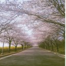 정수수산 이미지