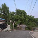 용호마을경로당 이미지