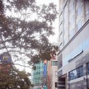 유성헤네스타워 오피스텔 이미지