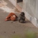 바다왕수산 네이버블로그