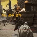 쌍트리