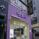 보라애견샵 네이버블로그