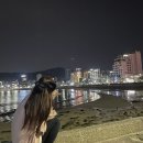 와이제이인터내셔널 이미지