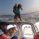 김재윤농장 이미지