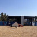 도그,위브 | 반려동물 놀이터 추천] 강아지와 놀러 가기 좋은 송도달빛축제공원 도그파크 (예약방법, 이용방법 및 후기)