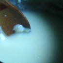 깔끔운동화세탁 이미지