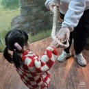 사파리체험테마파크 주말 헤이리에서 아이와 함께하는 풍성한 체험