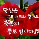 그리스도의향기